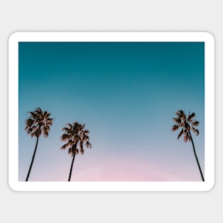 Palm trees, Tropical landscape palms, Sky, Nature print Sticker